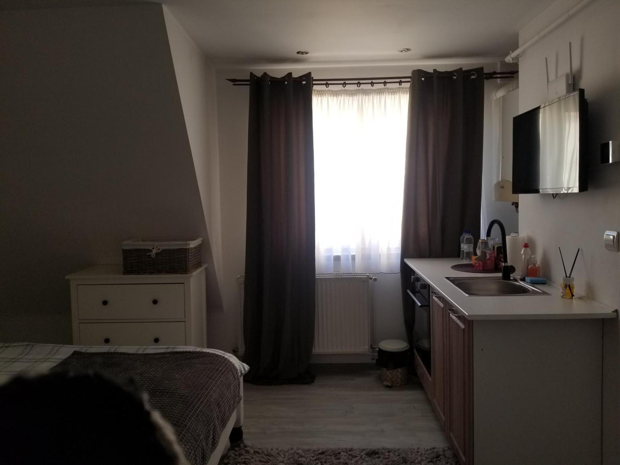 A&A Central Apartment シビウ エクステリア 写真